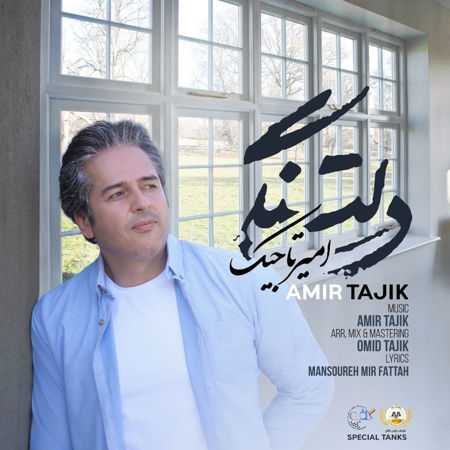 آهنگ امیر تاجیک دلتنگی