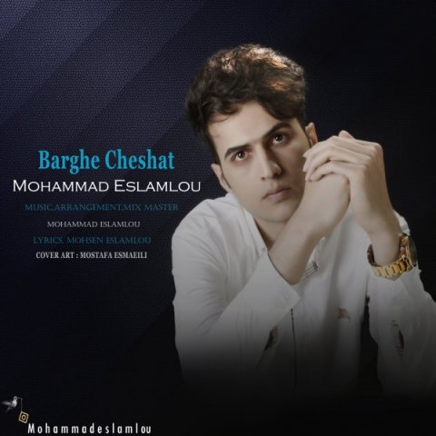 دانلود آهنگ جدید محمد اسلاملو به نام برق چشات