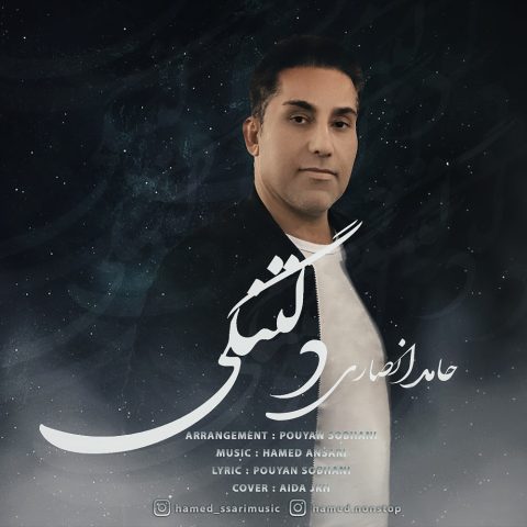 دانلود آهنگ دلتنگی از حامد انصاری