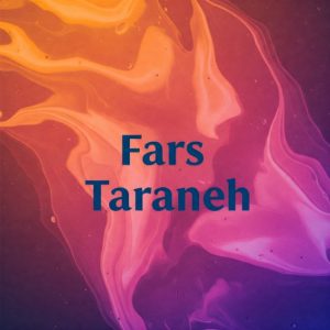 دانلود ریمیکس در واقع مجید رضوی گاد پوری شایع تتلو و رض _ میکس عاشقانه