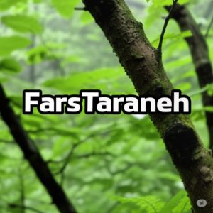 دانلود آهنگ پروانه پر زد از پیله رفت دورچی – میکس اینستا