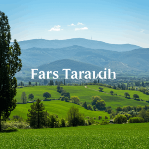 دانلود ریمیکس یکی هست تو قلبم  شایع و تتلو “کاری از هوش مصنوعی”
