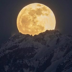 دانلود آهنگ گيسو افشان محسن چاوشی “هوش مصنوعی”