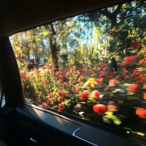 دانلود آهنگ کولی  رضا پیشرو فدایی علی سورنا – میکس رپی