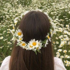 دانلود آهنگ جاذبه  علیرضا طلیسچی و مهستی کاری از هوش مصنوعی