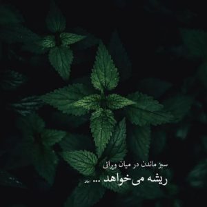 دانلود آهنگ پناه  امیر تتلو رامین تجنگی سامان جلیلی مهراب خلسه ارشاد “ریمیکس رپی”