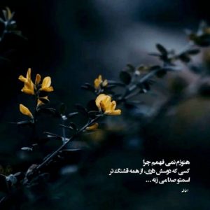 دانلود آهنگ حالا دیدی میتونم رضایا آرمین 2afm مهدی احمدوند نوان مساری رضایا شیرین “ریمیکس احساسی”