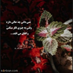 دانلود آهنگ کات بیلی ایلیش و علی سورنا و ناجی – ترکیب بینظیر خارجی و رپ فارسی