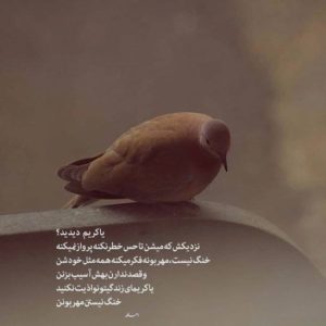 دانلود آهنگ این همه آدم حامیم – ریمیکس پاپ