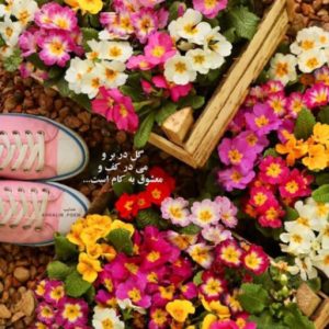 دانلود آهنگ رد تماس هایده و احمد سلو – هوش مصنوعی