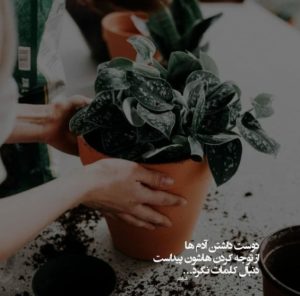 دانلود آهنگ مافیا مهراد هیدن ویناک هیپ هاپولوژیست خلسه کنیس “ریمیکس گنگ” نسخه اصلی