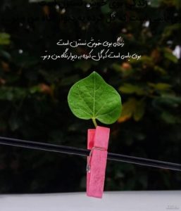 دانلود آهنگ  بی وفایی  رامین تجنگی و رضا کرمی تارا و محسن لرستانی “ریمیکس غمگین “