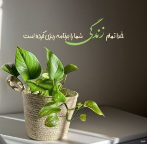 دانلود آهنگ  بمیرم برات خونه بیقراری مهستی – هوش مصنوعی