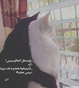 دانلود آهنگ مثل تو منو کی بلده مجید رضوی – ریمیکس احساسی