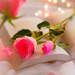 دانلود آهنگ دسته گل  مجید رضوی مسعود صادقلو هوروش بند حامیم بهنام بانی