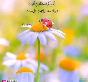 دانلود آهنگ تو یه پناهی میثم ابراهیمی فرزاد فرزین روزبه بمانی اندی محسن چاوشی – ترکیب بینظیر احساسی