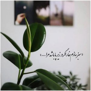 دانلود آهنگ راحیل معین سا خته شده توسط هوش مصنوعی – ورژن اصلی