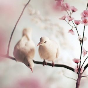 دانلود آهنگ حضرت یار  معین کاری از هوش مصنوعی