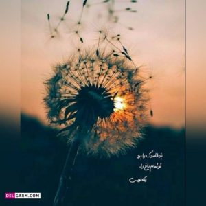دانلود ریمیکس  کافه و شبگردی  محسن یگانه ابی امید مجید رضوی حبیب “ریمیکس پاپ”