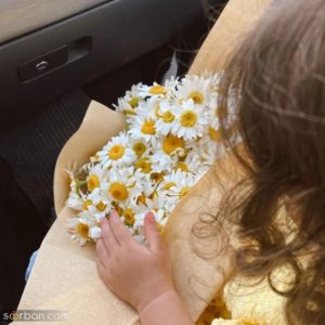 دانلود آهنگ قلب قرمز مرتضی پاشایی – هوش مصنوعی
