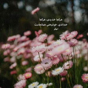 دانلود آهنگ رفتنی میره تو حالا هی به پاش بسوز و بساز نیواد – ترند اینستایی – ورژن اصلی