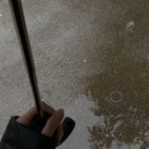 دانلود آهنگ  پاییزو دوست دارم با اینکه تو رفتی شادمهر عقیلی – هوش مصنوعی