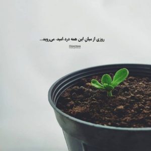 دانلود آهنگ هرشب کنارت حالم یه جوریه محسن چاوشی شایان جهانشاهی هایده