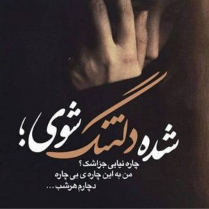 دانلود آهنگ برو منو تنهاییو شبو پیام عباسی و هایده – هوش مصنوعی – نسخه کامل