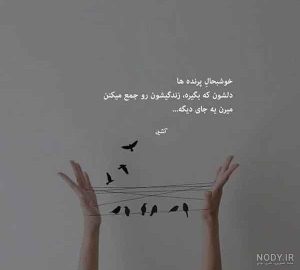 دانلود آهنگ  سر مه خالی میکرد کمبود عقده هاشه رامین تجنگی و علی سورنا و امیر تتلو “ریمیکس رپی”