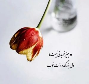 دانلود آهنگ مرز خداحافظی علی سورنا رضا پیشرو علی گرامی ریویل ریبار “ریمیکس دپ قفلی”
