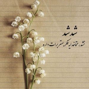 دانلود آهنگ سایکوتیک  فرشاد و بهرام – ریمیکس رپی