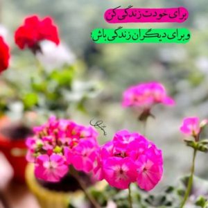 دانلود آهنگ  سلامو علیک  امیر خلوت حصین رضا پیشرو مسین – ریمیکس رپی