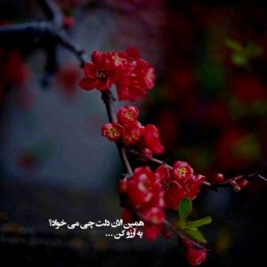 دانلود آهنگ  بارون پشت شیشه  کیارش و مهراد جم کاری از هوش مصنوعی _ نسخه اصلی