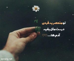 دانلود آهنگ میوفتی یادم مهیاد رامین تجنگی علی سورنا ایسین حصین – ریمیکس رپی