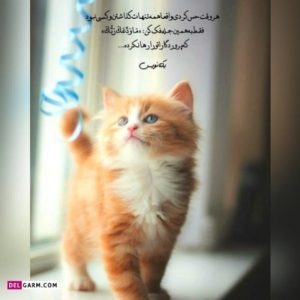 دانلود آهنگ وطن  معین – هوش مصنوعی
