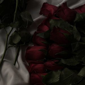 دانلود آهنگ مشترک مورد نظر محمد محرمی – نسخه اصلی – ترند جدید
