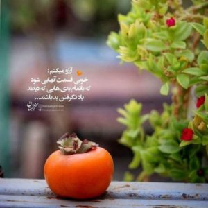 دانلود آهنگ سرزنش  صادق مهراد هیدن حصین شایع پیشرو علی سورنا – ریمیکس رپی اصیل