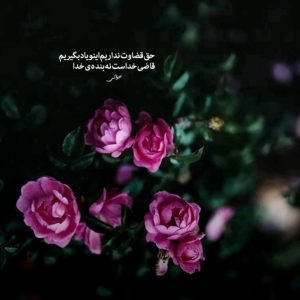 دانلود آهنگ من از این دنیا چی میخوام شادمهر و حمیرا کاری از هوش مصنوعی