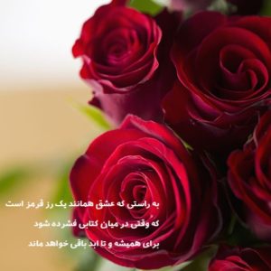 دانلود آهنگ دیوانه تتلو شایع خلوت مرژاک محمد امیری رامین تجنگی “ریمیکس دپ “