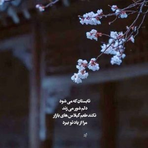 دانلود آهنگ سیاهی علی سورنا مسلک دانیال ناجی نوید اپیکور – ریمیکس رپی دپ