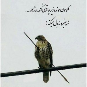 دانلود آهنگ دیگه نمیخوامت  آریانفر علی یاسینی مانی دایان حامیم دورچی تتلو – ریمیکس دپ قفلی