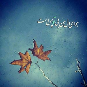 دانلود آهنگ اگه یه روز تورو نبینمت میگیره دلم این حقیقته هایده و حمیرا – هوش مصنوعی