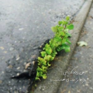 دانلود آهنگ بالاخره شد میثم ابراهیمی – موزیک جدید – ترند کامل