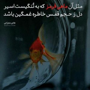 دانلود آهنگ اینجا تهرونه اوتلاو شایع رضا پیشرو – ریمیکس رپی گنگ