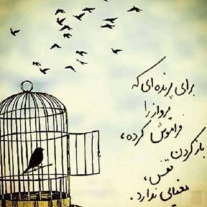 دانلود آهنگ قفس امید نوری