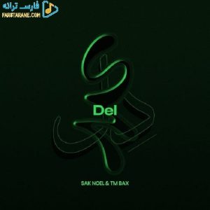 دانلود آهنگ دل تی ام بکس