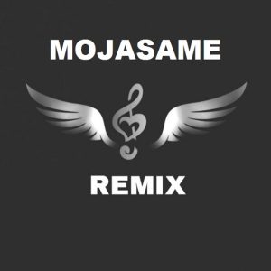 دانلود آهنگ مجسمه ساختم ازت ناصر زینعلی شایع تتلو هیپهاپولوژیست و مهیار – ریمیکس